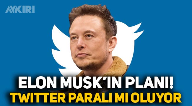 Elon Musk harekete geçti: Twitter artık paralı mı olacak? – Teknoloji – Ulusal24.com