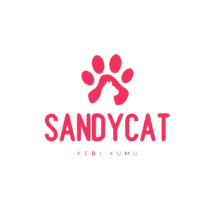 sandycat