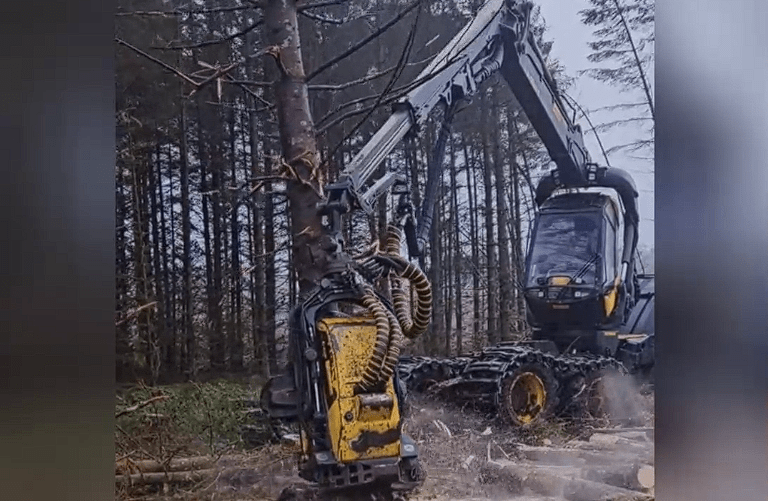 İş makinesi ile ağaç kesmek için kullanılan yöntem dikkat çekti – Teknoloji